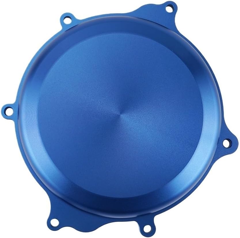 白スジうねうねFSQ 子株 ビカクシダ shizenplantsさん購入親株 ②白